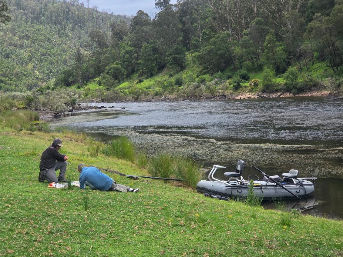 Victorian High Country river landscape