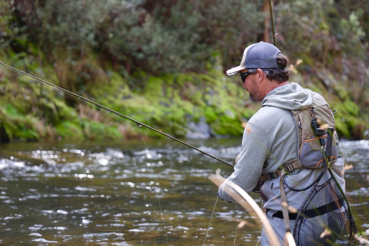 Full Day High Country fly fishing trip